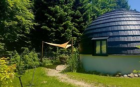 Grasówka